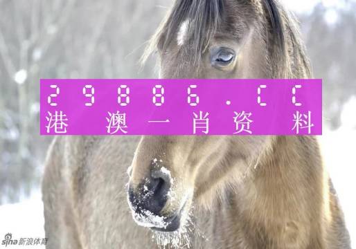 澳門精準(zhǔn)一肖一碼100%精準(zhǔn),可依賴操作方案_KMX49.482設(shè)計(jì)師版