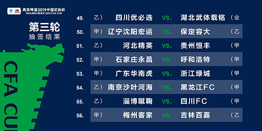 2024新澳三期必出一肖,高度協(xié)調(diào)實施_OPE49.653高效版