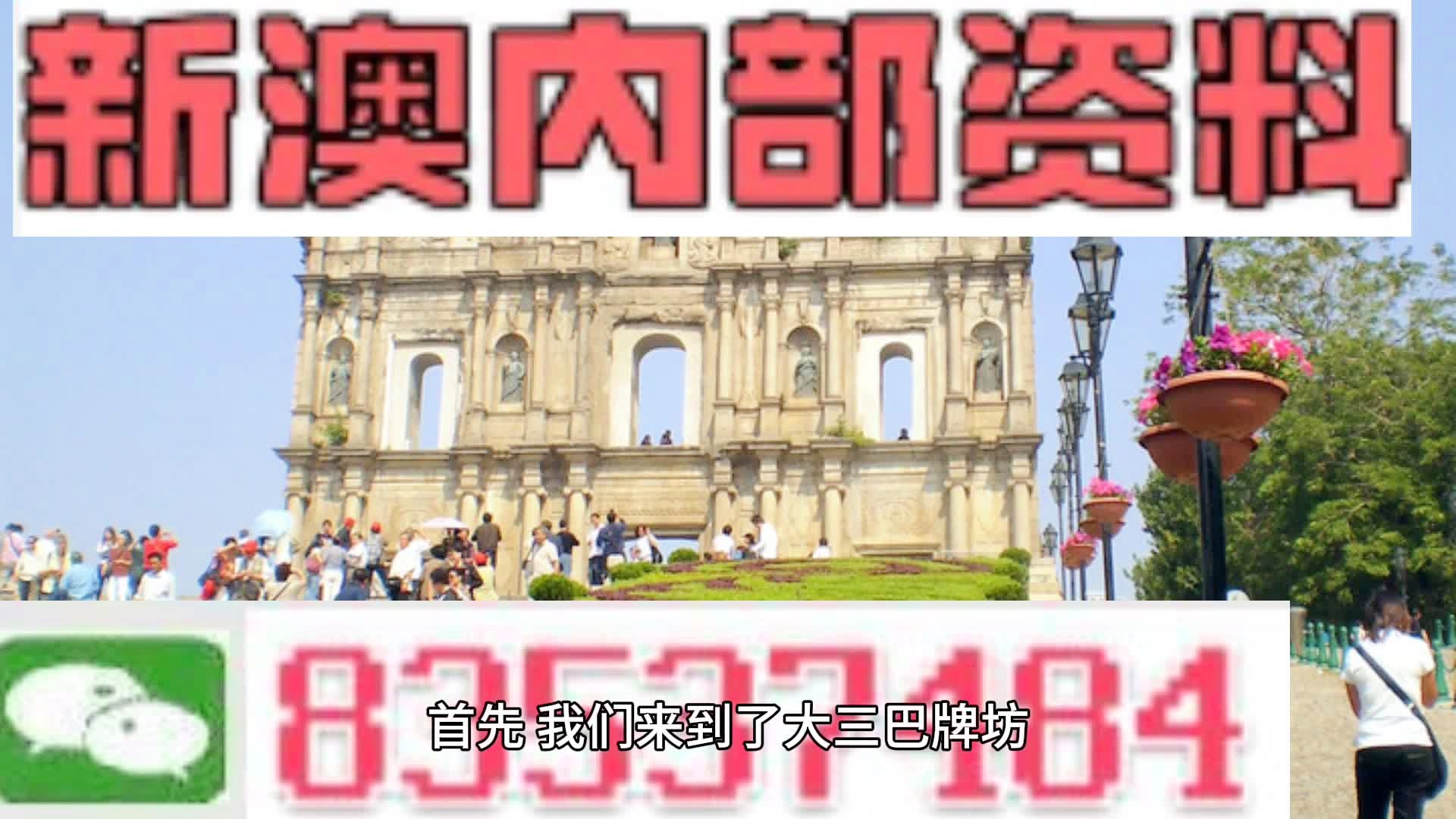 2024新澳最精準(zhǔn)資料222期,科學(xué)依據(jù)解析_FIY49.850模擬版