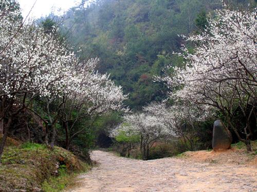 松重線最新時(shí)間表，愛的旅程與友情的紐帶之旅