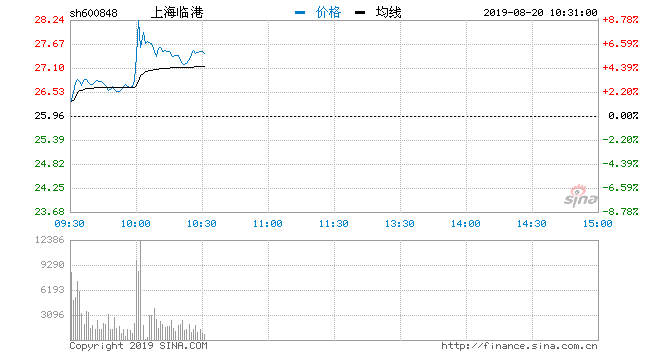 上海港股票動態(tài)，變革中的機遇與挑戰(zhàn)——學習與自信的航程