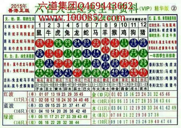 2024新版生肖恃碼表49彩色澳門,系統(tǒng)解決方案_BNJ83.460活力版