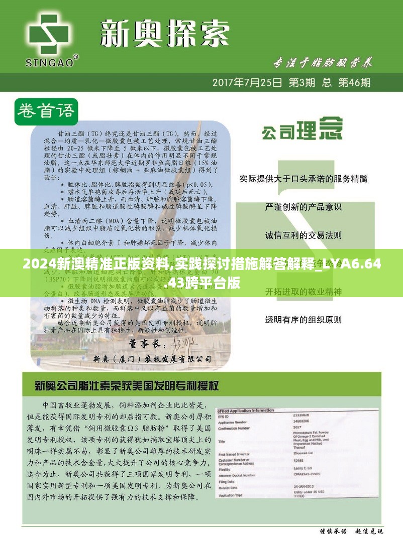 新澳2024年精準(zhǔn)資料,安全設(shè)計解析說明法_SNK9.500加速版