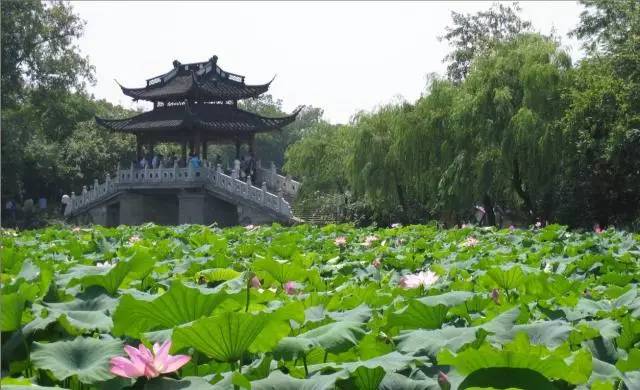 杞縣西湖春天最新動態(tài)，小巷深處的獨(dú)特風(fēng)情