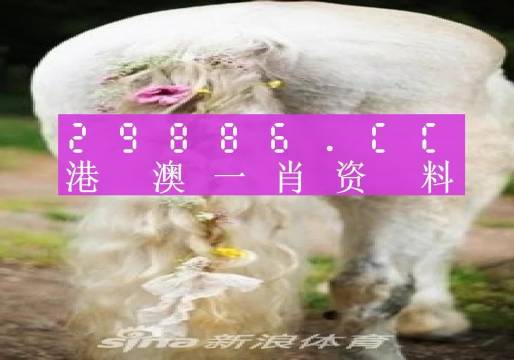 一肖一碼公開網(wǎng),靈活執(zhí)行方案_環(huán)保版20.225