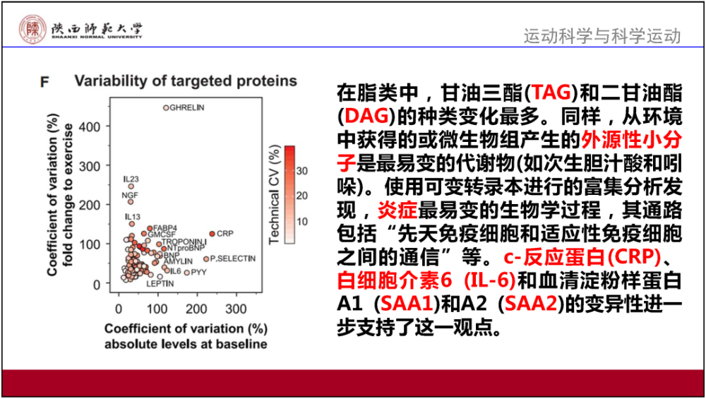 新澳門精準三肖三碼資料,專業(yè)解讀操行解決_隨身版19.868