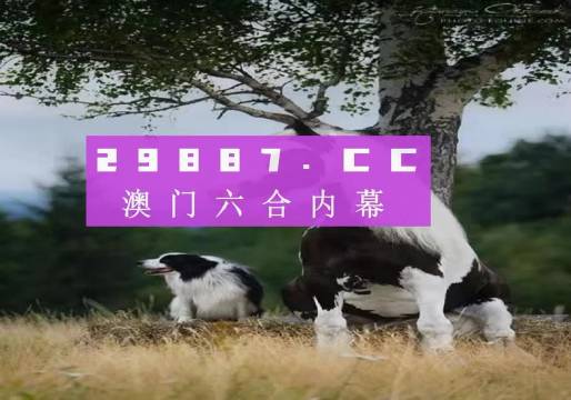 2024澳門跑狗圖最新版今天104,實地驗證實施_強勁版66.140