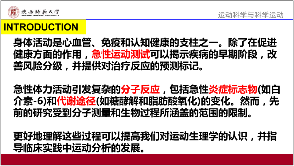 新奧門正版資料最新版本更新內容,全面性解釋說明_輕量版49.153