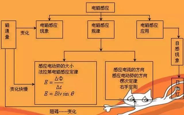 保健品 第155頁