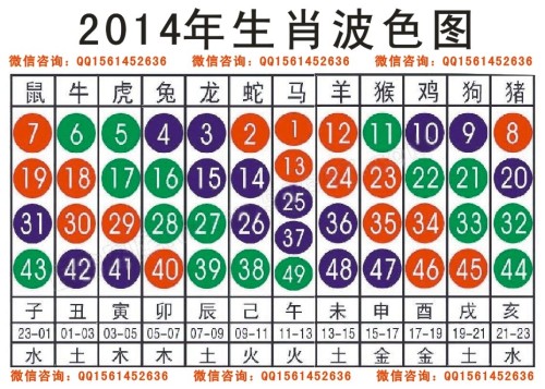 2024十二生肖49碼表,數(shù)據(jù)科學(xué)解析說明_方便版54.486