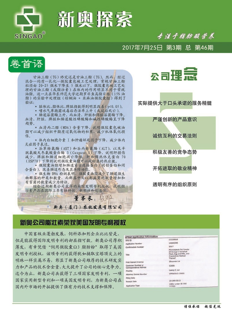 2024新奧精準(zhǔn)正版資料,訪問(wèn)安全方案解析_定向版2.780