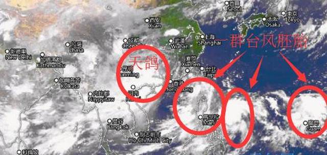 臺(tái)風(fēng)天鴿最新登陸消息更新