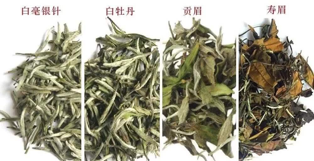 白牡丹白茶，探尋內(nèi)心平靜的茶道之旅與價(jià)格揭秘