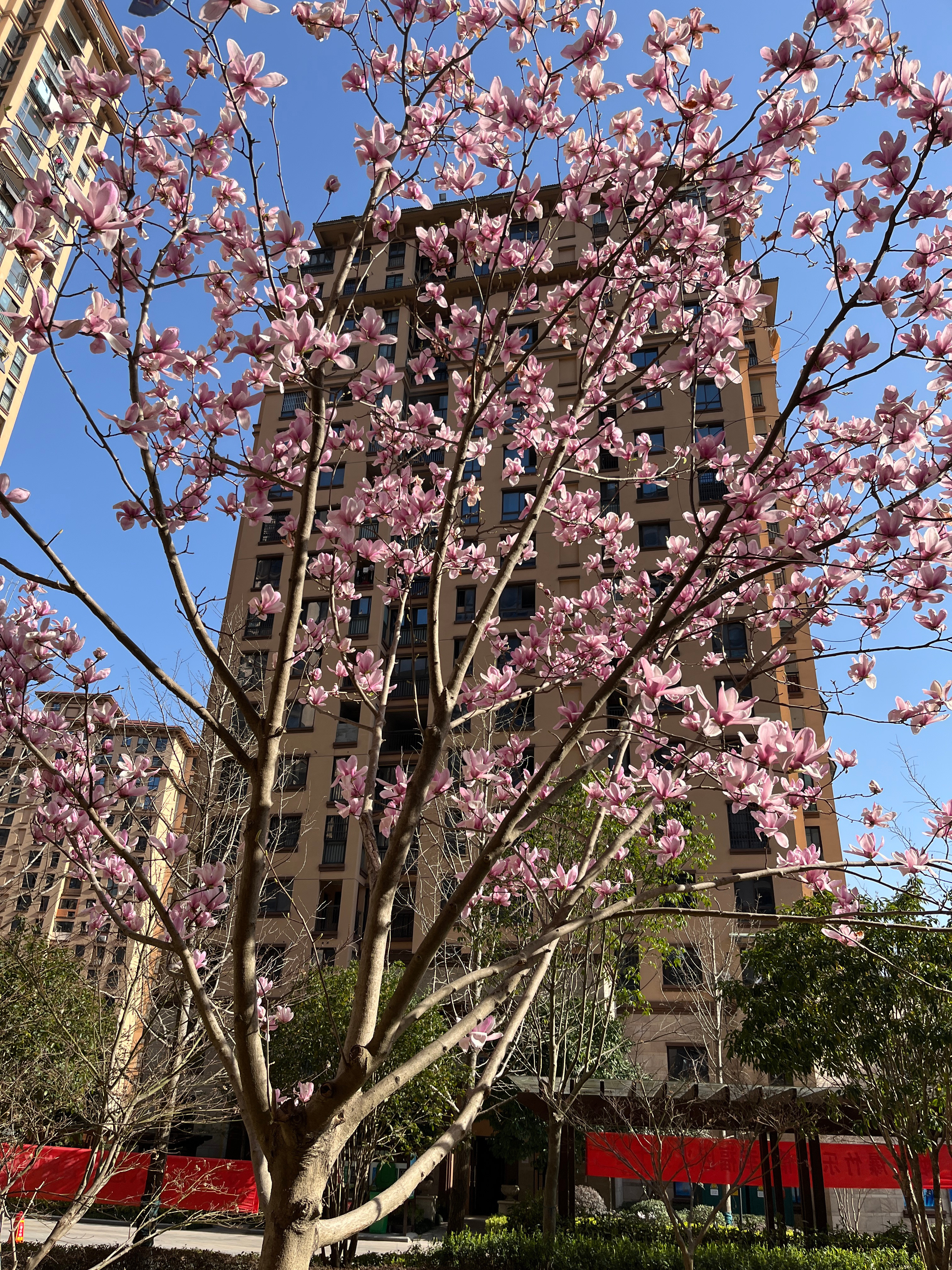 春暖花開新地址，變化中的學習之旅，自信與成就感的源泉啟航地