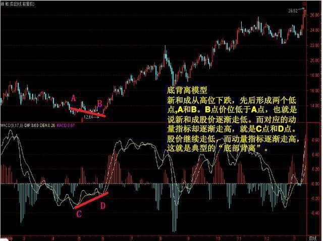 新和成股價(jià)最新動(dòng)態(tài)，行業(yè)趨勢(shì)與公司前景展望分析